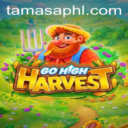 Discovering GoHighHarvest: A Journey Through Tamasa